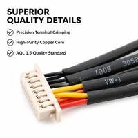 Assemblage de faisceau de câbles électroniques personnalisé avec connecteur JST PH VH, câble terminal résistant aux hautes températures en PTFE, indice de protection IP67, pour usage médical