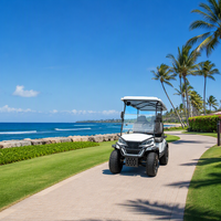 Voiturette de golf Club Car 6 places la plus vendue, modèle à quatre roues adapté aux routes urbaines