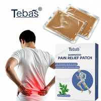 Patch Hydrogel Anti-Douleur pour Genoux, Dos, Muscles et Articulations – Gel Apaisant – Fournisseur OEM d'Usine