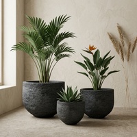 Ensemble de 3 jardinières GRC gris pierre foncé, texture rugueuse de roche volcanique, pot à fleurs en béton, intérieur/extérieur, hôtel, villa
