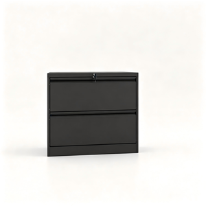 Archivador de Oficina Moderno de Acero, Gabinete Amplio para Tarjetas, Color Negro Sólido, 2 Cajones Laterales, con Cerradura, para Gimnasio, Escuela, Hospital - Product Image 1