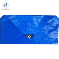 Bâche transparente extérieure de bâche de PE de bâche imperméable bleue de 50 260gsm