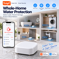 Détecteur de fuite d'eau intelligent LH-301ZB Tuya Zigbee, détecteur d'inondation sans fil, alarme d'eau pour la sécurité domestique et l'automatisation