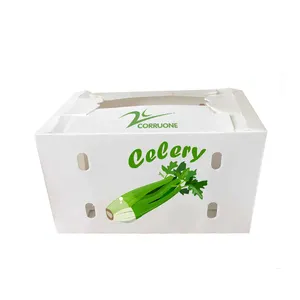 Boîte de rangement Correx en polypropylène cannelée et étanche, emballage de fruits frais PP, boîte de livraison conteneur