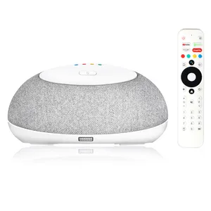 2022 New HomePlus DVB T2 android 11 smart set top box Google Certified 4K Mecool Ka1 4GB 32GB android tv box built in Speaker