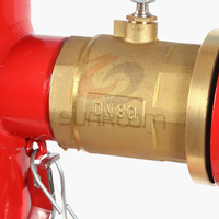 Hydrant d'incendie en fonte ductile à alimentation directe pour véranda, équipement de lutte contre l'incendie portable 100 mm pour application de protection incendie