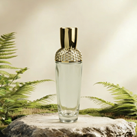 Flacon de parfum en verre incurvé personnalisable de 100 ml avec finition givrée, pulvérisateur à chaud, flacons de soin de la peau de luxe