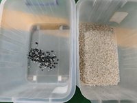 Trieuse optique Wenyao pour plastiques, 448 canaux, avec caméra CCD, compresseur d'air et réservoir d'air