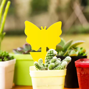 Piège à insectes collant jaune résistant aux intempéries pour la protection des plantes en extérieur - Product Image 1