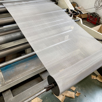 Moustiquaire en acier inoxydable Moustiquaire transparente à mailles en acier inoxydable Moustiquaire transparente pour fenêtre et porte