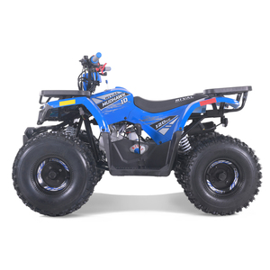 Quad Tao Motor 2026, nouveau, pas cher, pour la ferme, automatique, transmission par chaîne, pour enfants, 110cc - Product Image 3