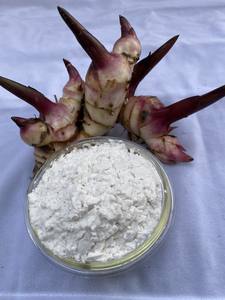 แป้งมันสำปะหลังคุณภาพดีที่สุด บริสุทธิ์ 100% จากเวียดนาม - Product Image 3