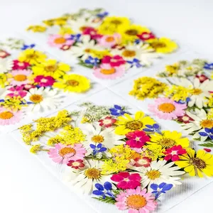 Kit de matériaux pour fleurs pressées DIY, kits combinés de Noël, marque-pages, coques de téléphone, maquillage époxy pour le visage pour la Fête <span class=keywords><strong>des</strong></span> Mères - Product Image 3