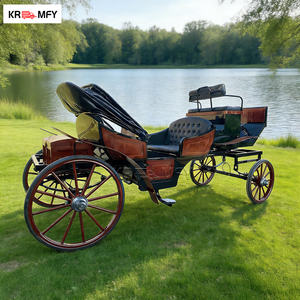 Location de calèches pour mariage, calèches de Noël à LED, calèches de luxe tirées par des chevaux pour l'extérieur - Product Image 3