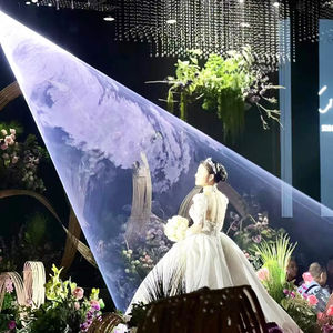 Luz Láser RGB de 3W/5W/10W, Controlada por DMX512, Haz de Aluminio, Soluciones de Iluminación para Bodas, DJ, Escenarios, Primer Baile, Clasificación IP20, AC100-240V - Product Image 1