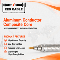Conducteur aérien nu à noyau composite en aluminium (ACCC) haute capacité pour lignes de transmission et de distribution d'énergie