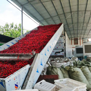 Máquina secadora <span class=keywords><strong>de</strong></span> tomates secos a gran escala y <span class=keywords><strong>Chile</strong></span> <span class=keywords><strong>Cayenne</strong></span> Pepper Secadora para pimienta negra - Product Image 4