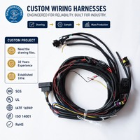 Harnais de câblage de moto personnalisé pour les clients, harnais de câblage de vélo électrique, harnais de câblage haute tension, harnais de câblage de sécurité ADAS