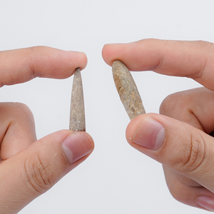 Fossiles de Belemnite Jurassique-Crétacé Authentique Spécimens de Cristal Feng Shui de Haute Préservation pour la Paléontologie - Product Image 4