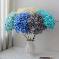 Kleurrijke Echte Gedroogde Hortensia Bloemen, Grote Bloemknoppen, voor Bruiloftdecoratie, Bloemkunst, Groothandel