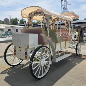 Nuevo Carro Eléctrico de Estilo Europeo de 4-8 Plazas, Carroza Personalizada para Visitas Turísticas, Transporte para Bodas, Resorts y Lugares Turísticos - Product Image 4