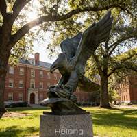 Escultura de Águila de Bronce de Gran Tamaño RELONG, Diseño Personalizado para Decoración de Campus Universitarios al Aire Libre