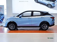 Véhicules électriques à succès : Neta V 2021, SUV électrique 301 km, zéro émission, faible kilométrage, véhicule d'occasion