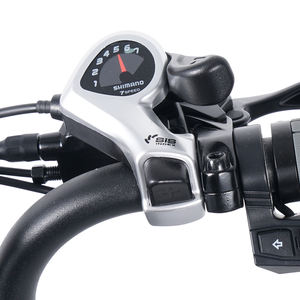 Bicicleta Eléctrica V20 Pro Fatbike C11 de 20 Pulgadas, 48V, <span class=keywords><strong>Shimano</strong></span> 7 Velocidades, Cuadro de Acero, Motor de Cubo Trasero de 250W 500W - Product Image 5