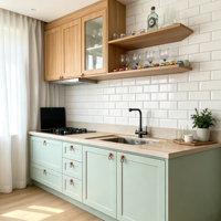 Desain Kustom Siap Rakit Set Lengkap Dicat Warna Hijau Sage Gaya Shaker Melamin Modular Ramah Lingkungan Wastafel Dapur