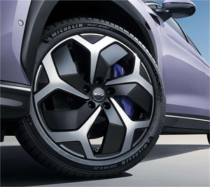 BYD SeaLion7 EV 2026 - Nuovo SUV Elettrico con Guida a Destra e Batteria al Litio, Veicolo a Nuova Energia, Adatto per la Rivendita - Product Image 5