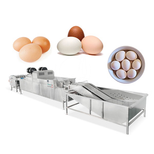 OCEAN-Cepillo eléctrico para huevos, máquina limpiadora de cáscara de huevo, línea de limpieza de huevos de pollo industrial - Product Image 1