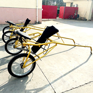 Venta Directa de Fábrica: Carroza de Poni de 2 Ruedas para Turismo y Maratones, Carroza de Transporte - Product Image 1