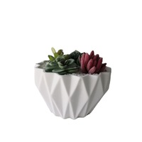Moule en Silicone pour Pot de fleur polygone géométrique, béton, moule pour bricolage de plantes succulentes, 10 pièces