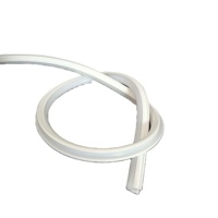Meilleur prix pour une bande lumineuse LED séparée avec indice de protection IP20 et télécommande pour les enseignes lumineuses extérieures