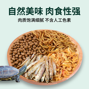 Alimento para Tortugas Yulecai 550ml, Pellets Flotantes con Alto Contenido de Calcio para Tortugas de Agua Dulce y Reptiles - Product Image 3