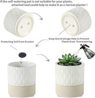 Pot de plante auto-arrosant de 6 pouces au design moderne avec trou de drainage et réservoir d'eau pour une utilisation intérieure et extérieure, blanc crème, brun