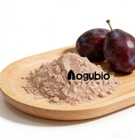 Pruimenpoeder Instant Pruimensap Poeder 100% Natuurlijk Pruimenpoeder Wateroplosbaar Pruimen Fruitpoeder voor Voedsel & Dranken