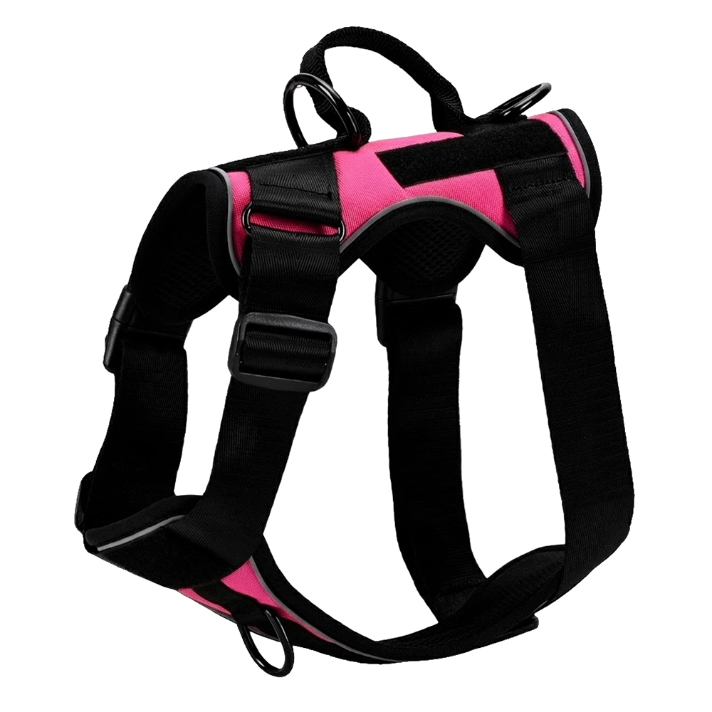 Hot Pink