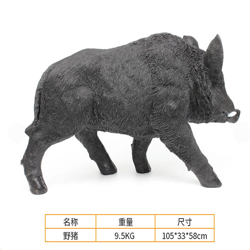 sus Scrofa