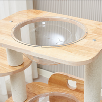 Arbre à chat en chêne de haute qualité, sans odeur, écologique, griffoir de luxe pour chat en forme de capsule spatiale, tour à chat multi-niveaux