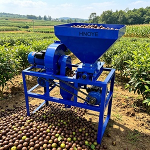 Machine polyvalente de décorticage de graines pour le traitement des acorns de Torreya Grandis, des sapindus et des graines de camélia et de ricin - Product Image 3