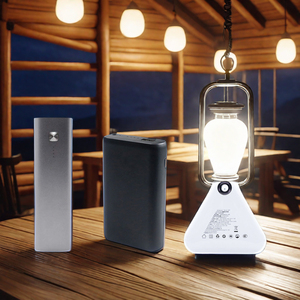 Cargadores Portátiles USB Personalizados de 10000mah-20000mah de Alta Capacidad, Calentadores de Manos de 12V 24V para Uso en Exteriores, para Laptop y Teléfono - Product Image 3