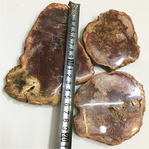 Chất Lượng Cao Đá Tự Nhiên Xylopal Slice Gỗ Slab <span class=keywords><strong>Fossil</strong></span> Cho Trang Trí Nội Thất - Product Image 4