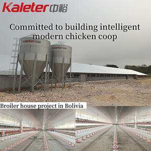 <span class=keywords><strong>Comederos</strong></span> automáticos <span class=keywords><strong>para</strong></span> cría de pollos, equipo avícola, suministros agrícolas, sistema de alimentación de agua <span class=keywords><strong>para</strong></span> pollos - Product Image 6