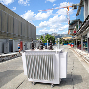 Transformateur de puissance immergé dans l'huile triphasé 11kV 33kV 630kVA 1000kVA pour sous-station, fabriqué par Longjian (usine avec 35 ans d'expérience) - Product Image 5