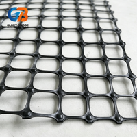 Fabricant de géogrilles uniaxiales en polypropylène pour le renforcement de la base des allées et la stabilisation des sols
