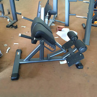 Banc de musculation professionnel pour l'extension du haut du dos, hyperextension, équipement de musculation, extension du dos réglable à 90 degrés, banc de sit-up, chaise romaine