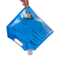 Sac à eau transparent personnalisé de 5 L avec poignée, pour cola, café, lait, liquides, format 1 gallon, vente chaude
