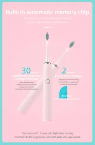 Baolijie Custom Shaped Self Cleaning Sonic Type C Soft Luxury Electric Toothbrush Private Label With Customized Packing