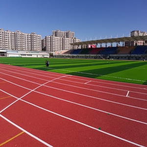 Césped Artificial Ecológico Meisen <span class=keywords><strong>de</strong></span> Colores para Jardín <span class=keywords><strong>de</strong></span> Niños, Estadio, Escuela, Fútbol, <span class=keywords><strong>Voleibol</strong></span>, Pisos Deportivos, <span class=keywords><strong>Pista</strong></span> <span class=keywords><strong>de</strong></span> Atletismo - Product Image 4